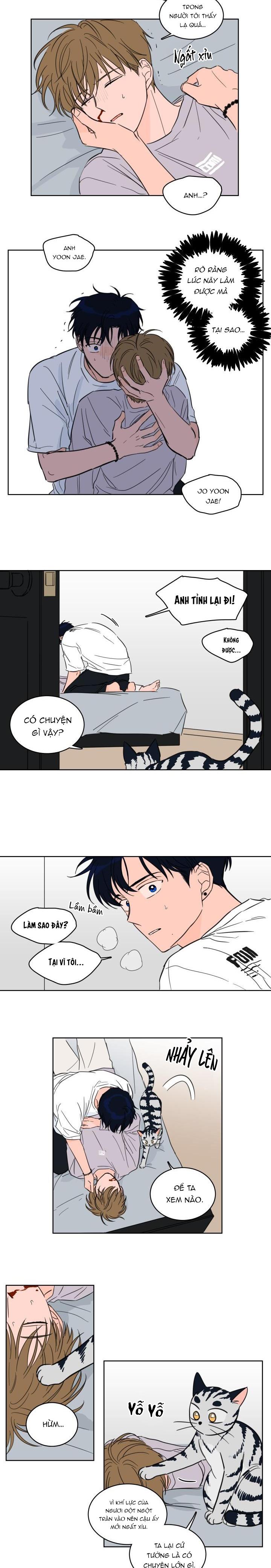 Đọc truyện Mẹo Thuần Hóa Hổ - Chapter 19