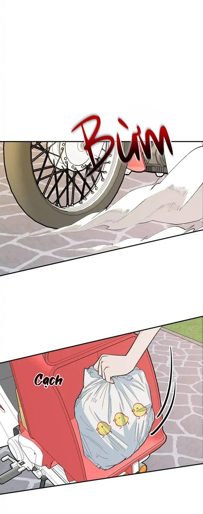 Đọc truyện Chàng tiên cá tôi yêu - Chapter 1