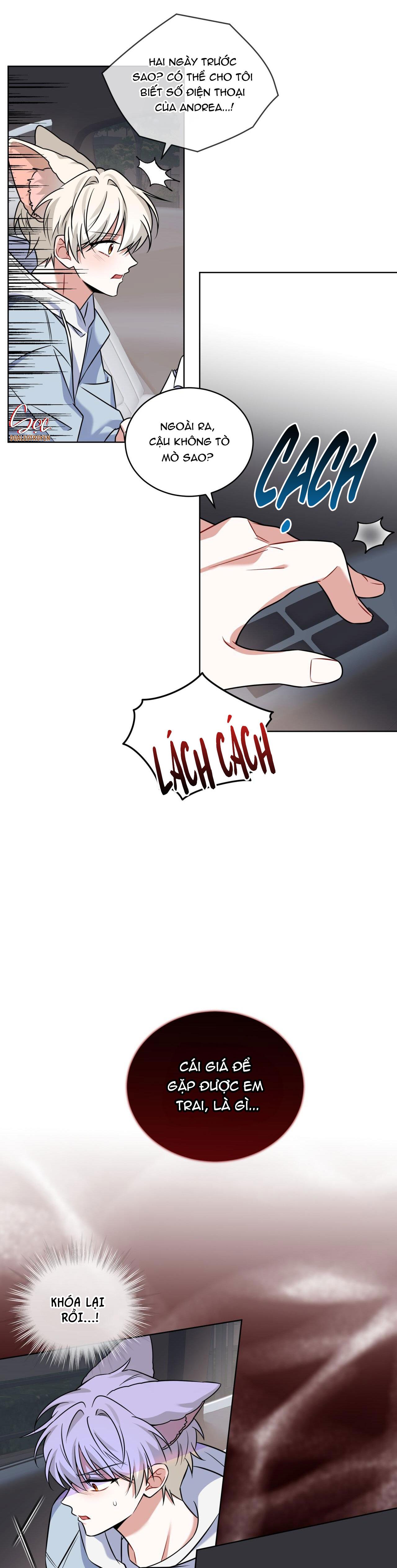 Đọc truyện NƯỚC UỐNG TÌNH YÊU CỦA CÁO PLIN - Chapter 13