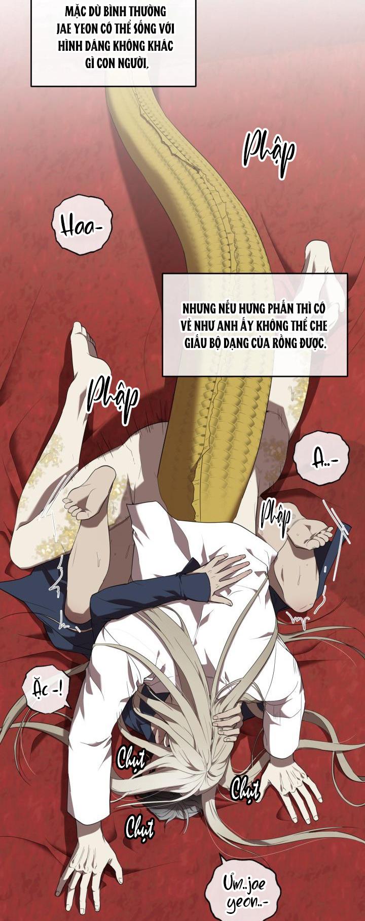 Đọc truyện DƯỠNG THÚ CƯNG - Chapter 54