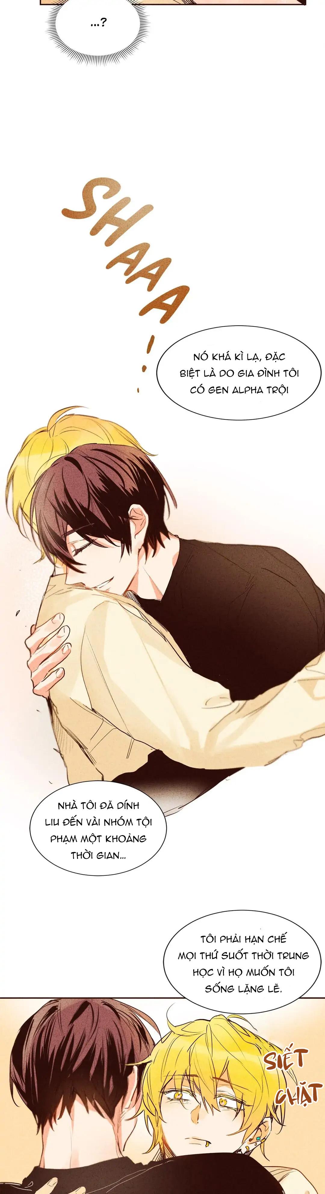 Đọc truyện Chìm Trong Pheromone - Chapter 4