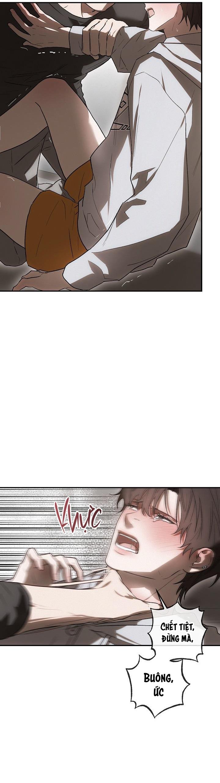 Đọc truyện BẢO VẬT - Chapter 5