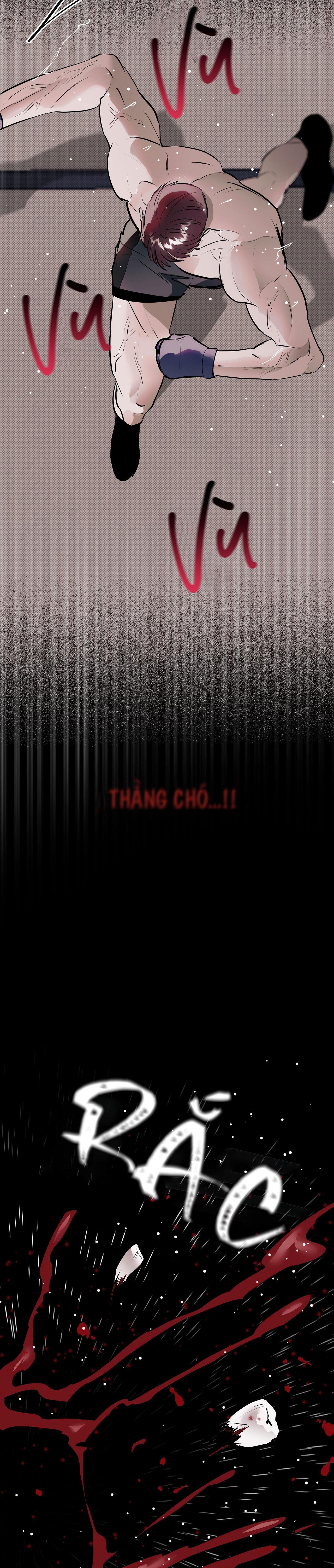 Đọc truyện KNOCKOUT BABY - Chapter 3