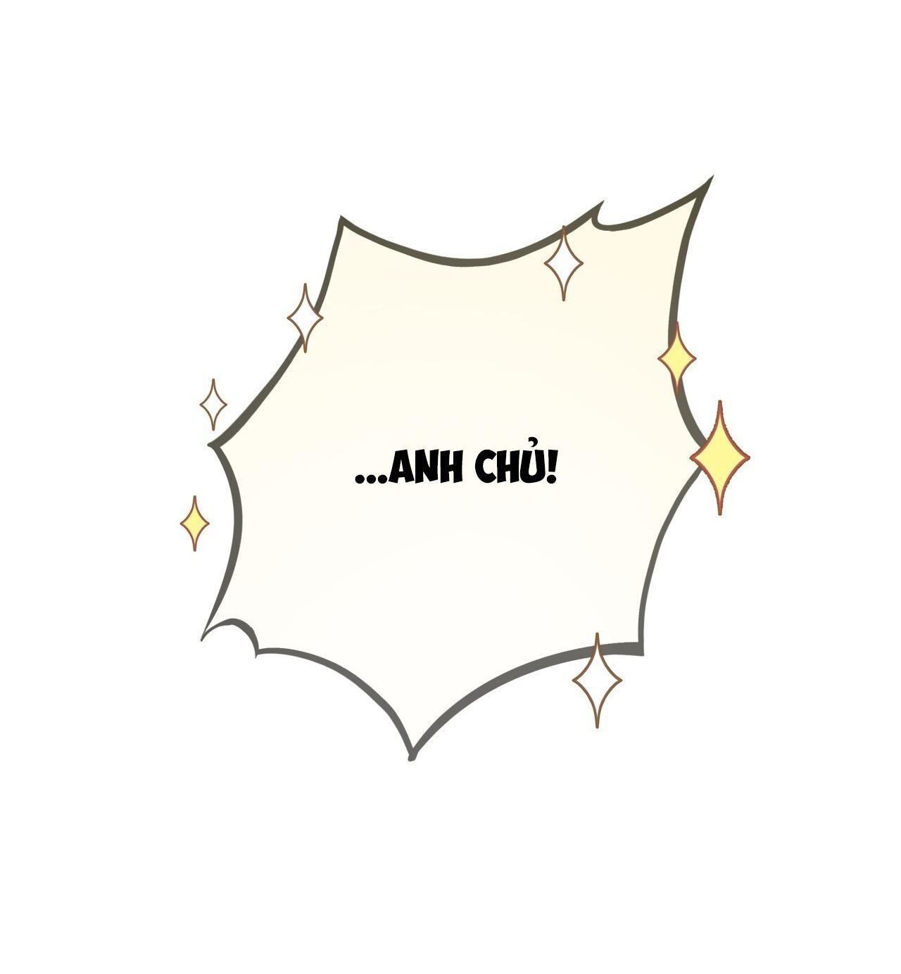 Đọc truyện MẬT GẤU - Chapter 35