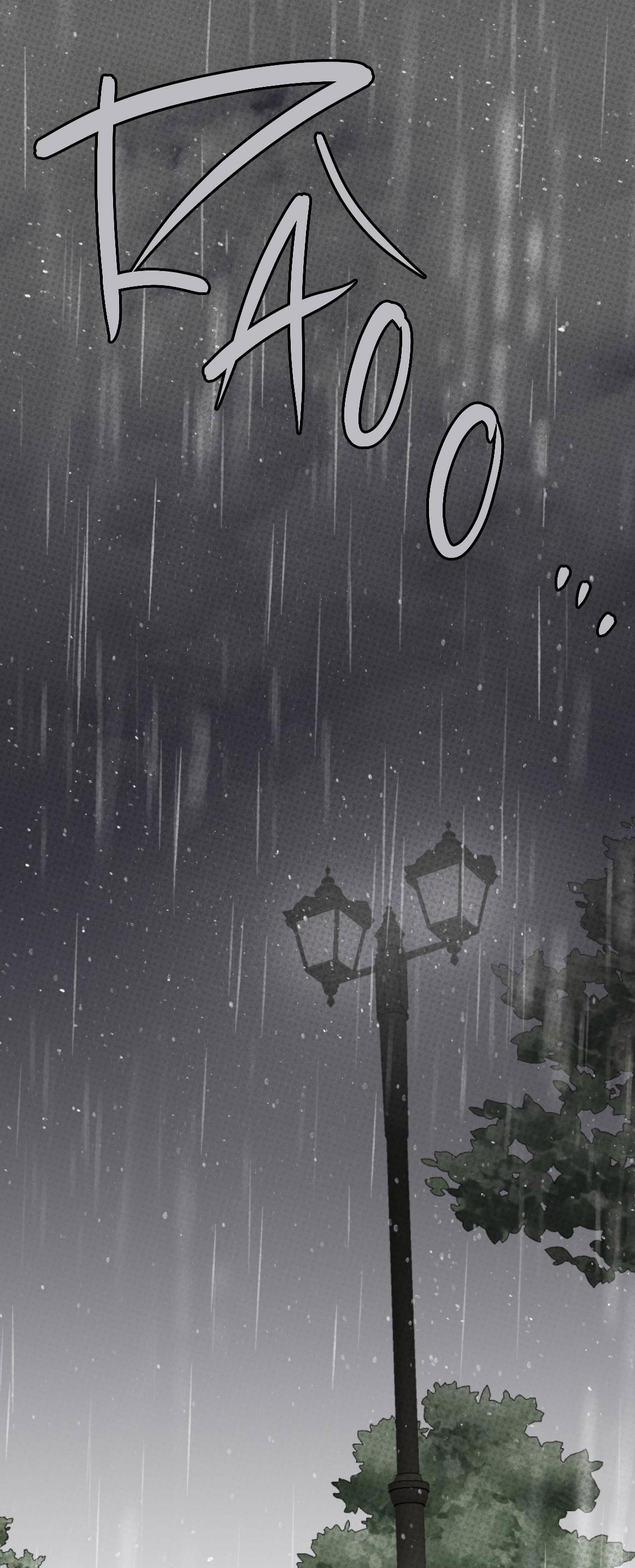 Đọc truyện DỰ BÁO MƯA RÀO - Chapter 5