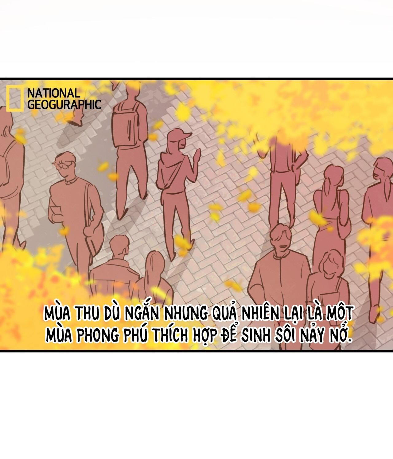 Đọc truyện MẬT GẤU - Chapter 31