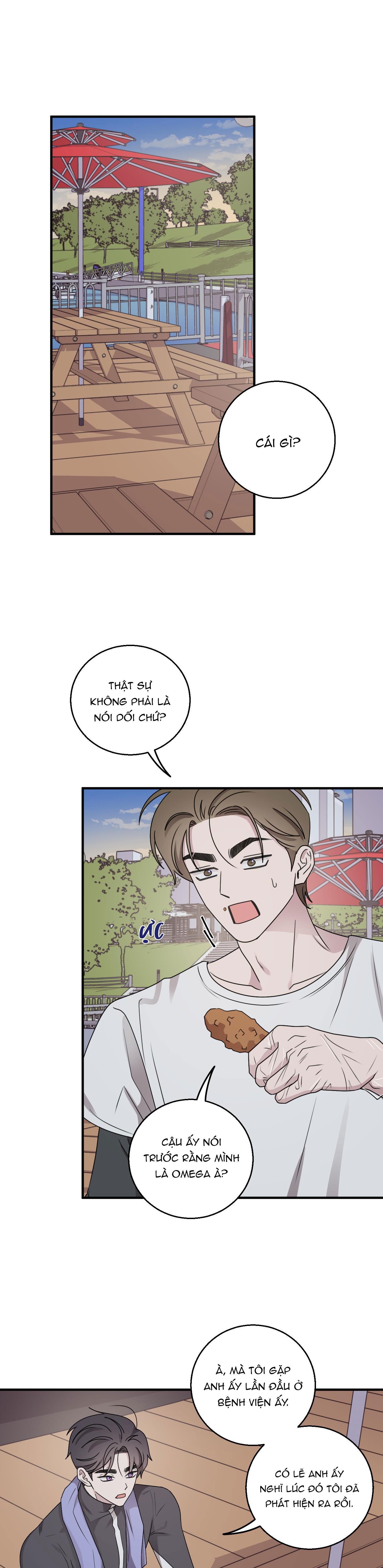 Đọc truyện CHUYỆN TÌNH ALPHA - Chapter 22