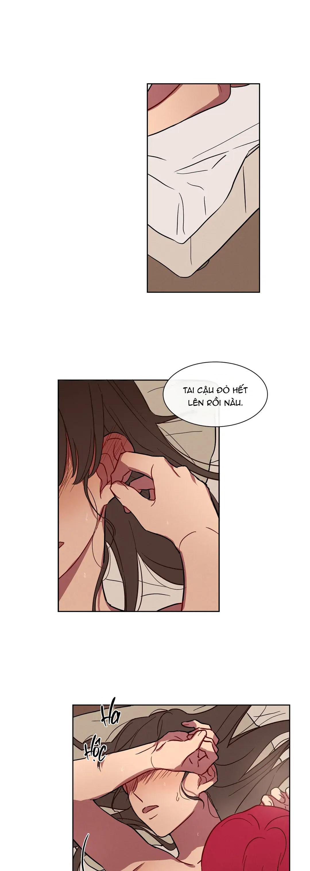 Đọc truyện NGỦ NGON NHÉ, LỌ LEM - Chapter 35