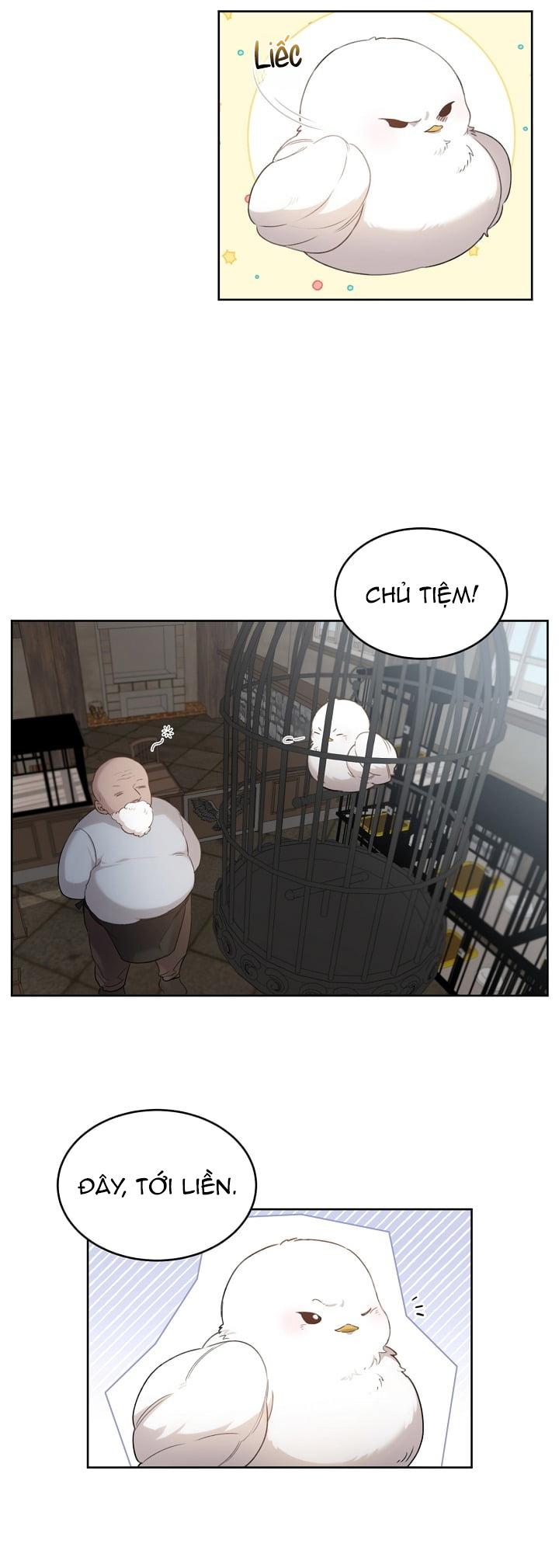 Đọc truyện (END) Này, Đừng Có Nhấn Cái Nút Đó! - Chapter 2