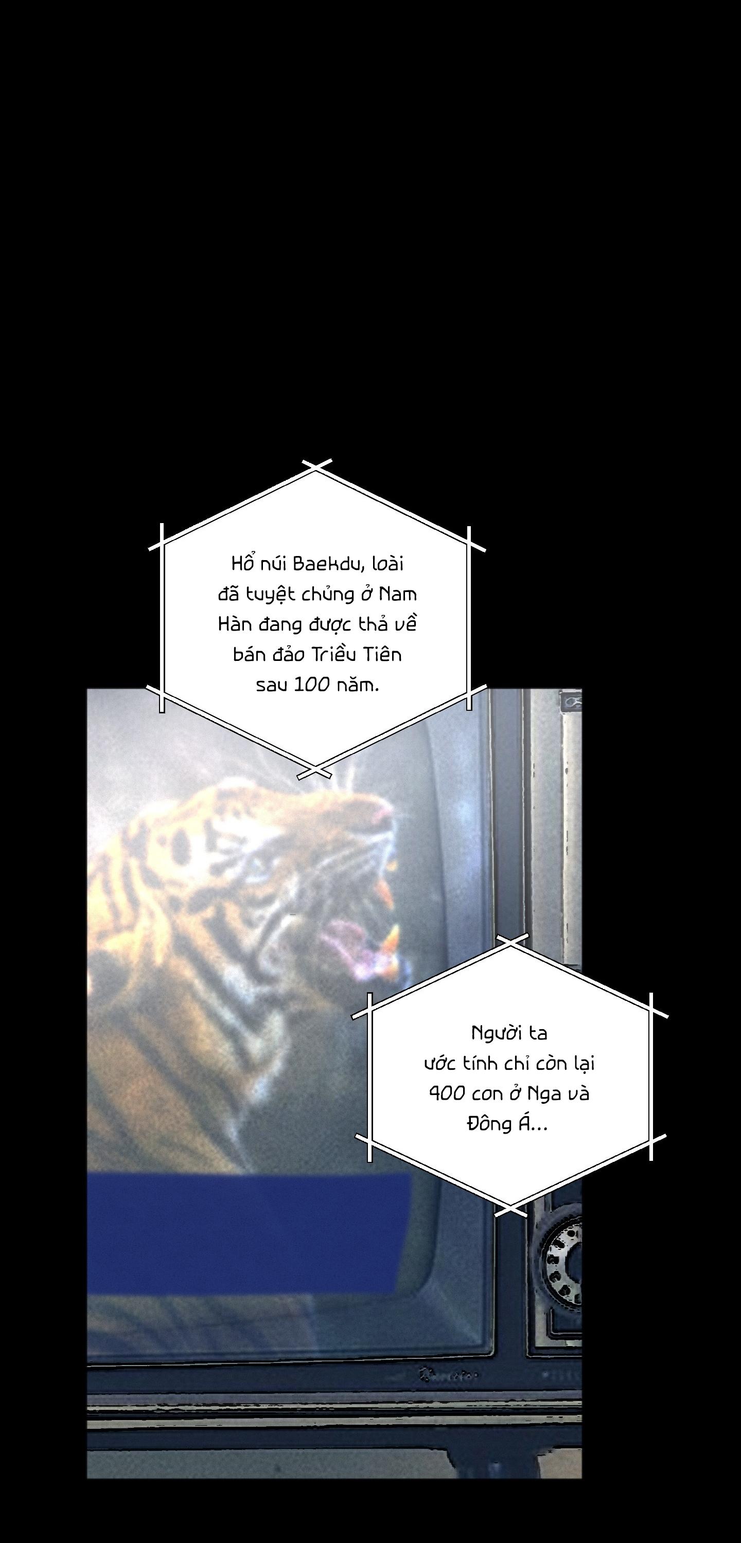 Đọc truyện NGHI THỨC CẦU NGUYỆN - Chapter 2