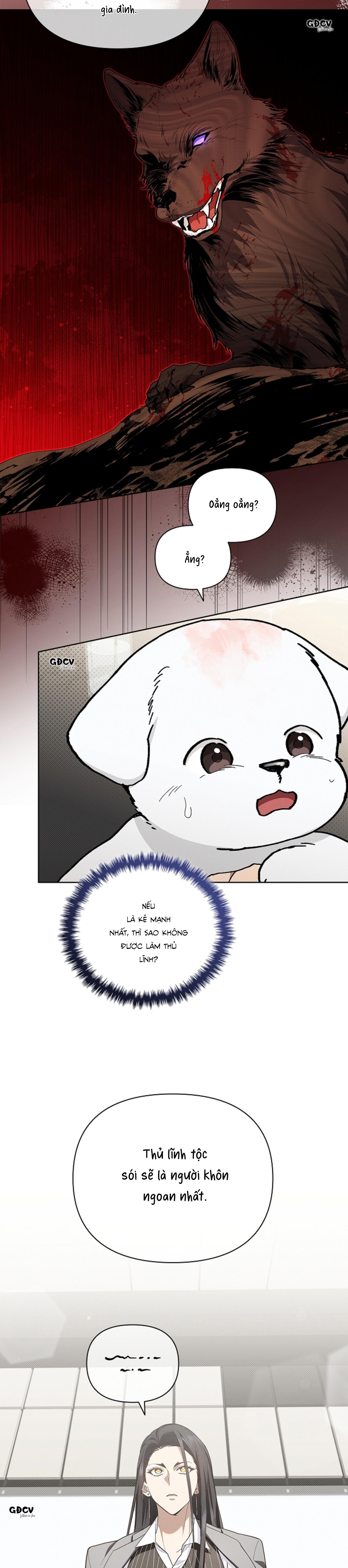 Đọc truyện ĐỪNG CHẠM VÀO CÚN CON CỦA TÔI - Chapter 11