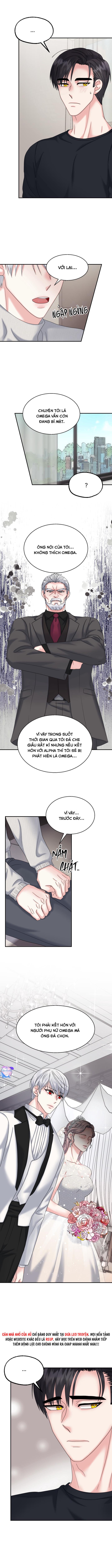 Đọc truyện ĐÂY LÀ CHÚ THỎ MÀ BẠN (KHÔNG) ĐÃ ĐẶT HÀNG - Chapter 13