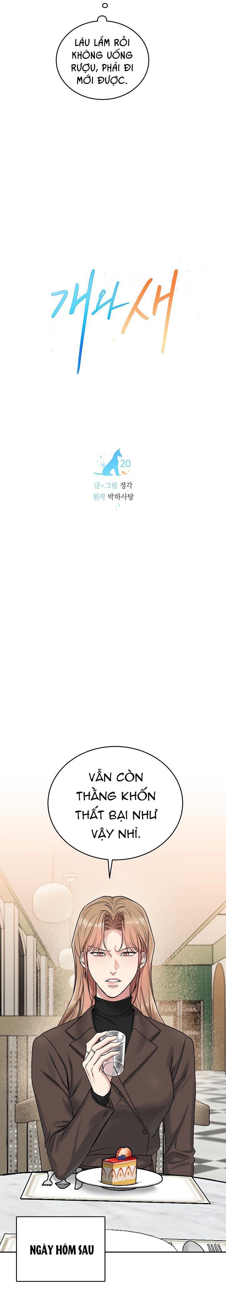 Đọc truyện CHÓ VÀ CHIM - Chapter 20