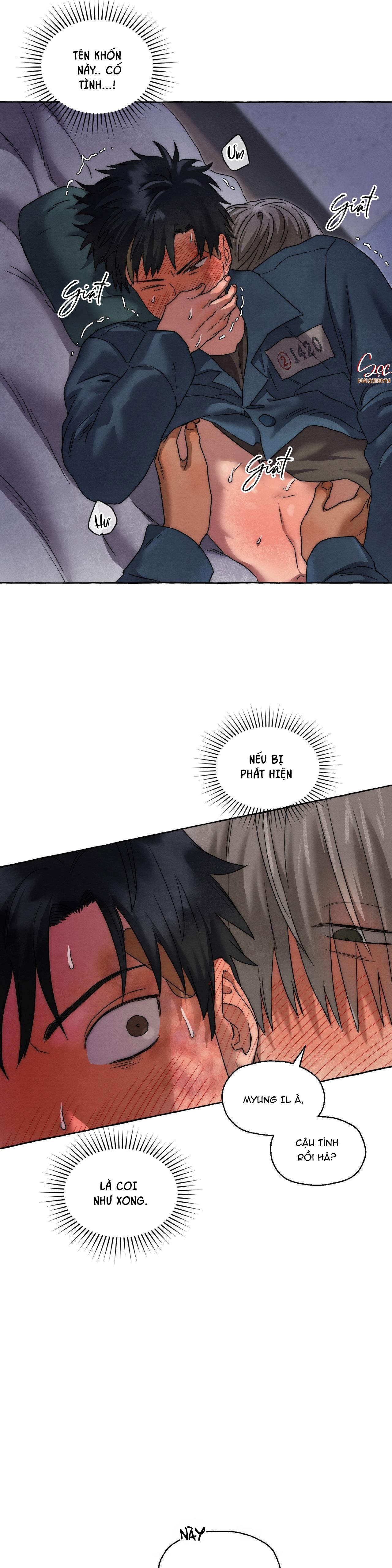 Đọc truyện NHỮNG CON CHÓ TRONG TÙ - Chapter 28