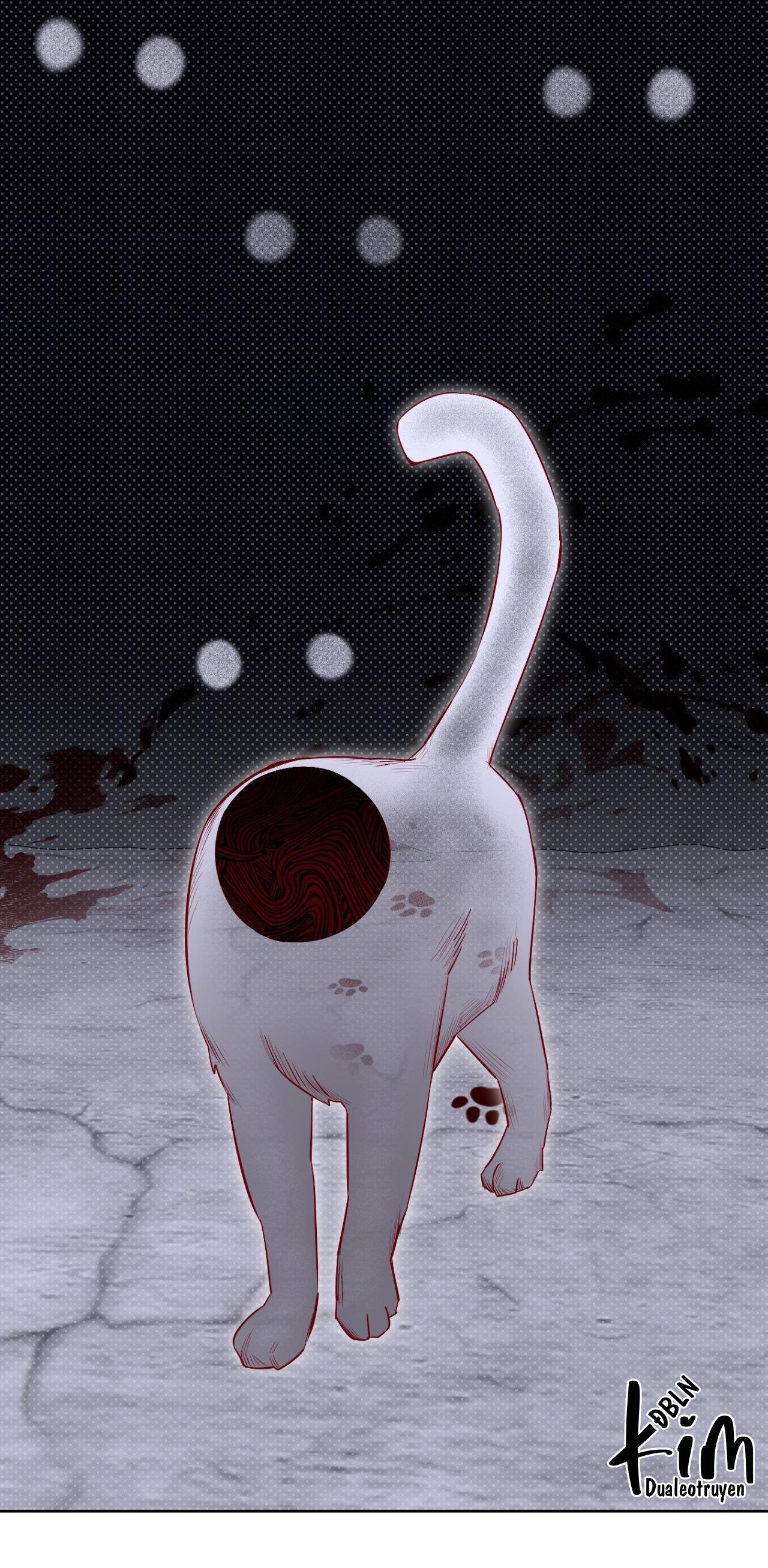 Đọc truyện BÓNG RẮN DƯỚI ÁNH TRĂNG - Chapter 10