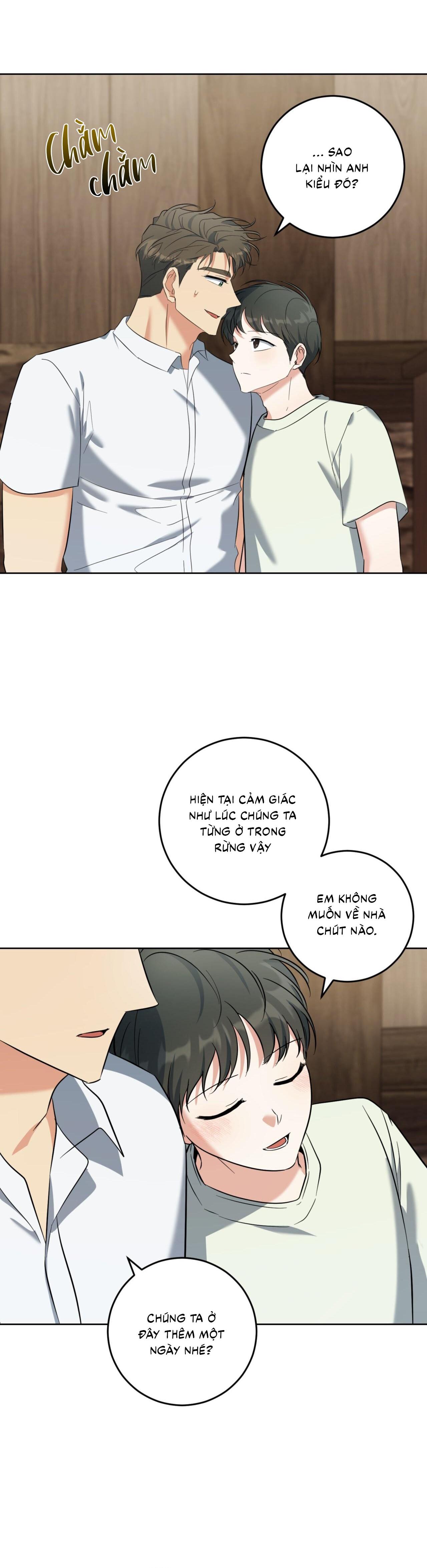 Đọc truyện  Khu Rừng Tĩnh Lặng - Chapter 70