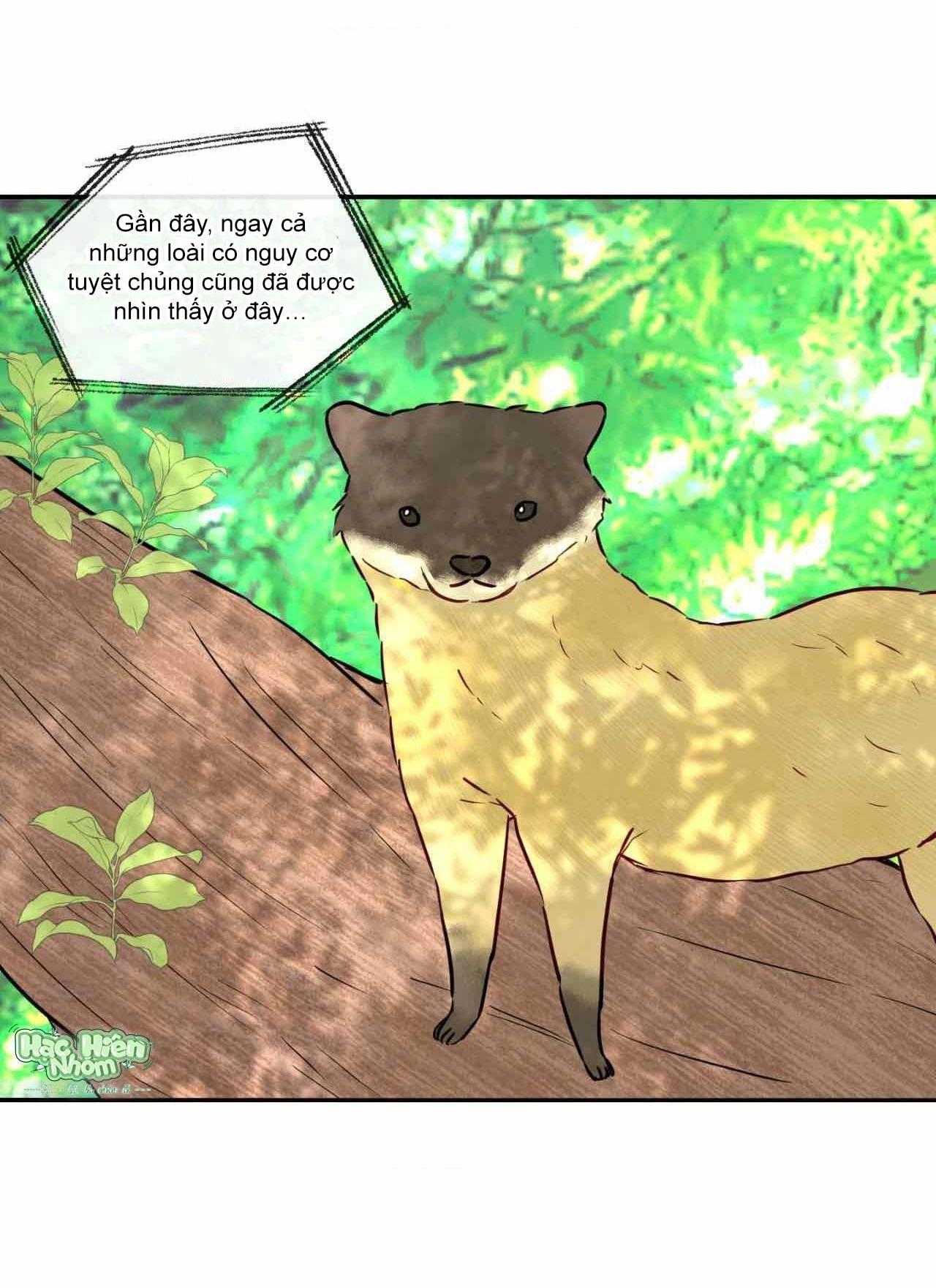 Đọc truyện Sự quyến rũ của Thần Rắn - Chapter 14