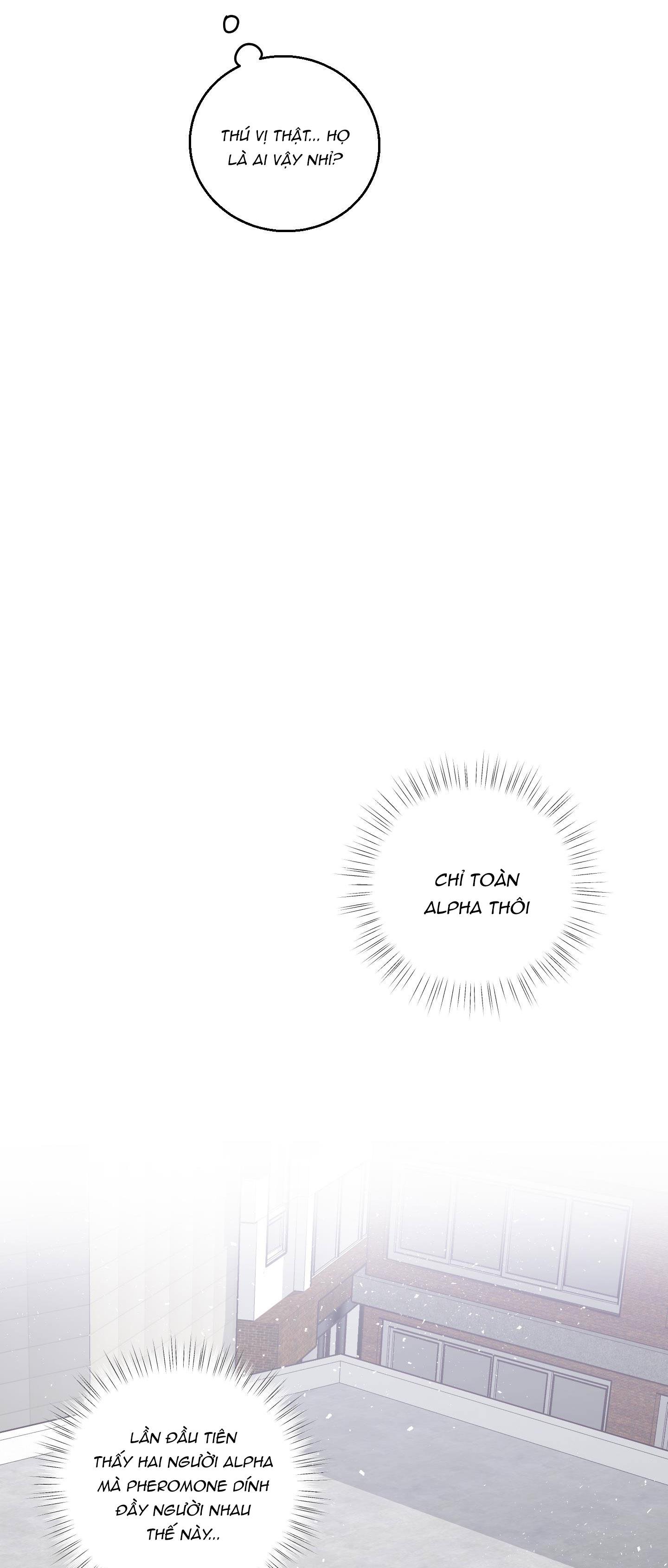 Đọc truyện CHUYỆN TÌNH ALPHA - Chapter 24