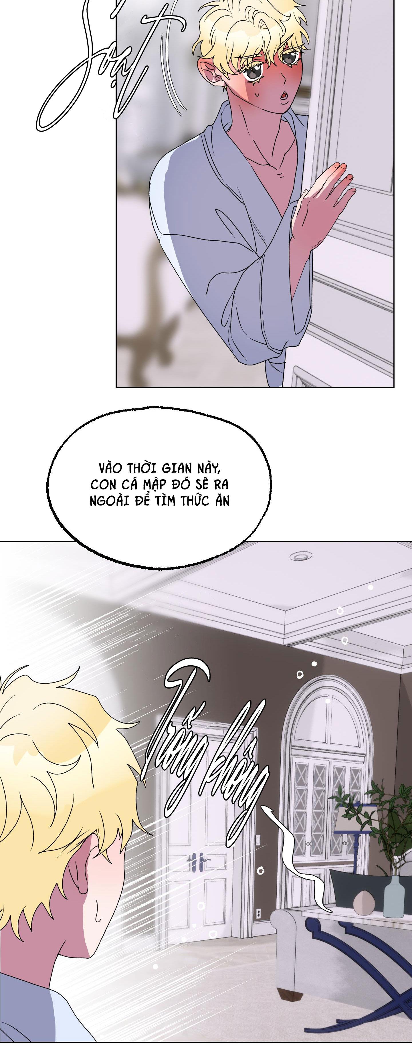 Đọc truyện CÁ MẬP VÀ CÔ DÂU THỎ - Chapter 13