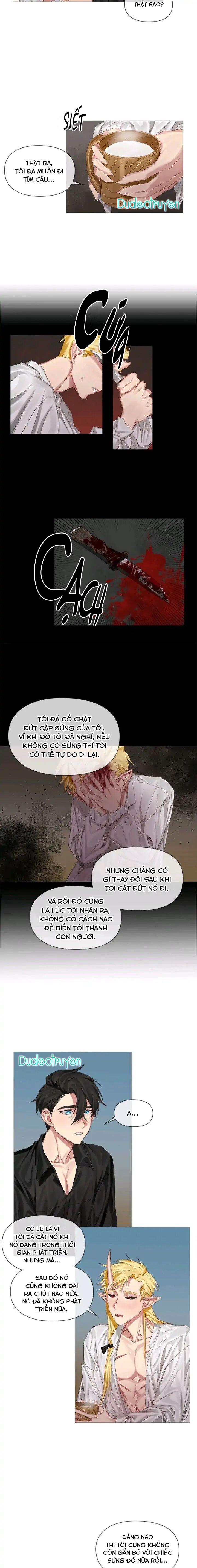 Đọc truyện [Hoàn] Chàng Hiệp Sĩ Và Rồng Vàng - Chapter 4