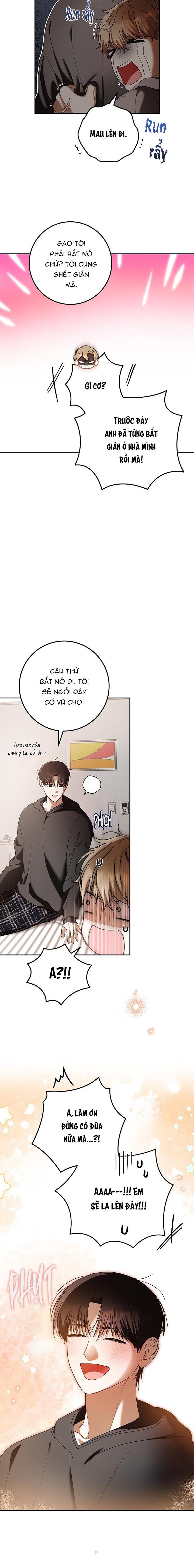 Đọc truyện CÚ ĐẤM NETKAMA - Chapter 78