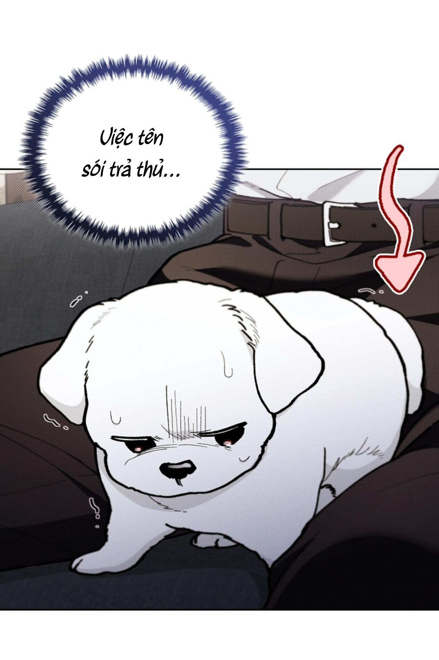 Đọc truyện ĐỪNG ĐỤNG VÀO BÉ CÚN - Chapter 4