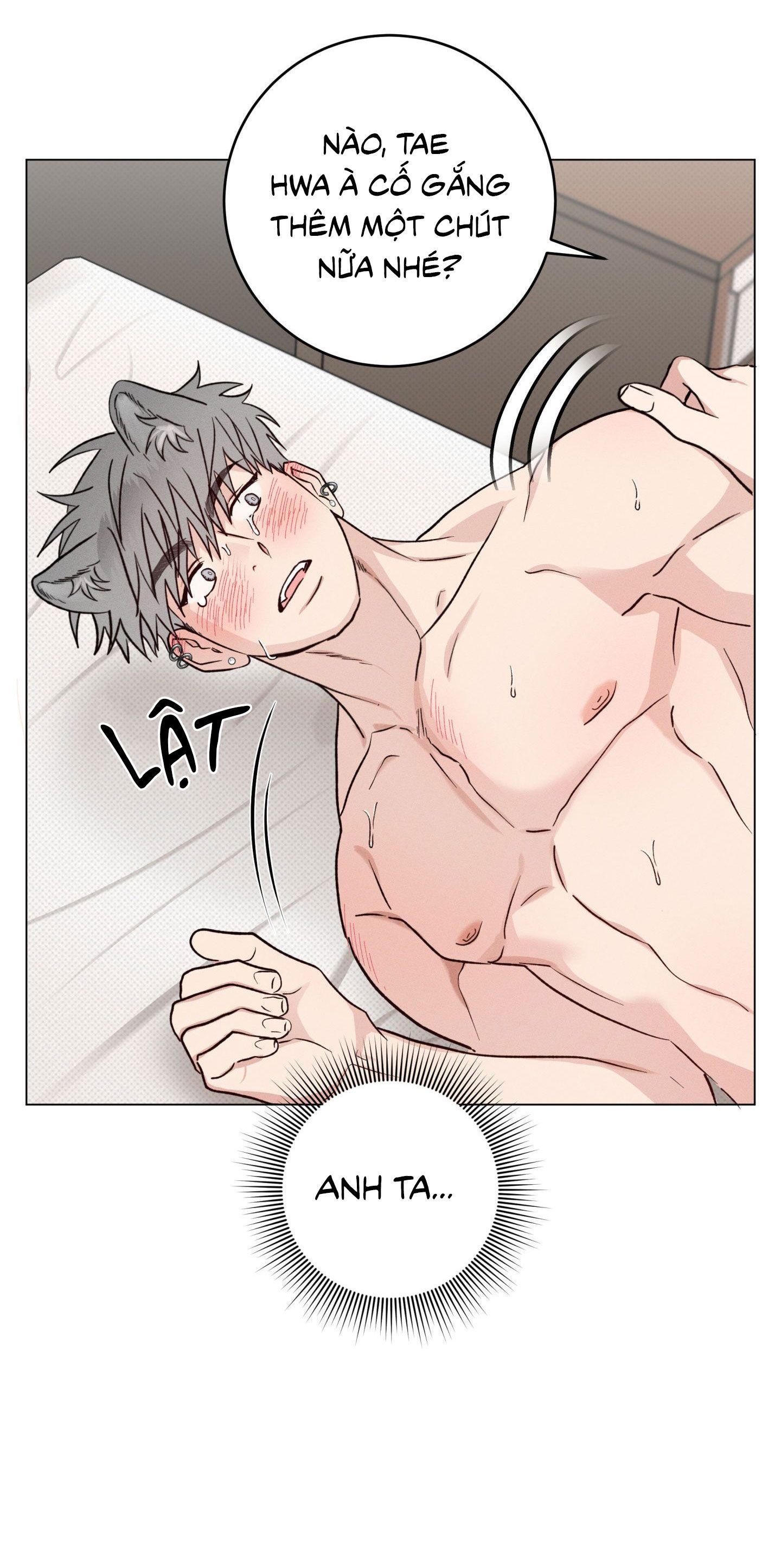 Đọc truyện Nhật ký nuôi dưỡng sói hoang - Chapter 4