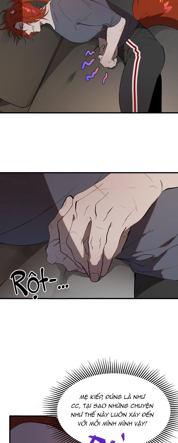 Đọc truyện BA CHÚ HEO CON - Chapter 10