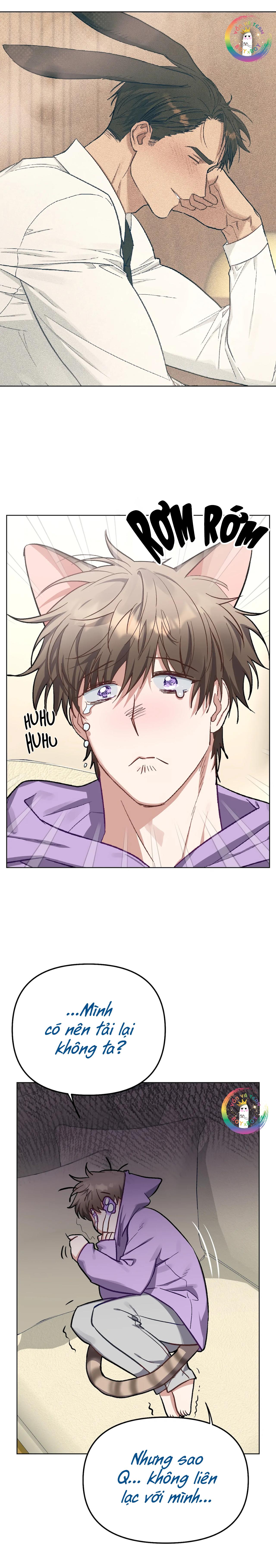 Đọc truyện (END) Thỏ Xuất Tinh Trong Vòng 3 Giây - Chapter 6