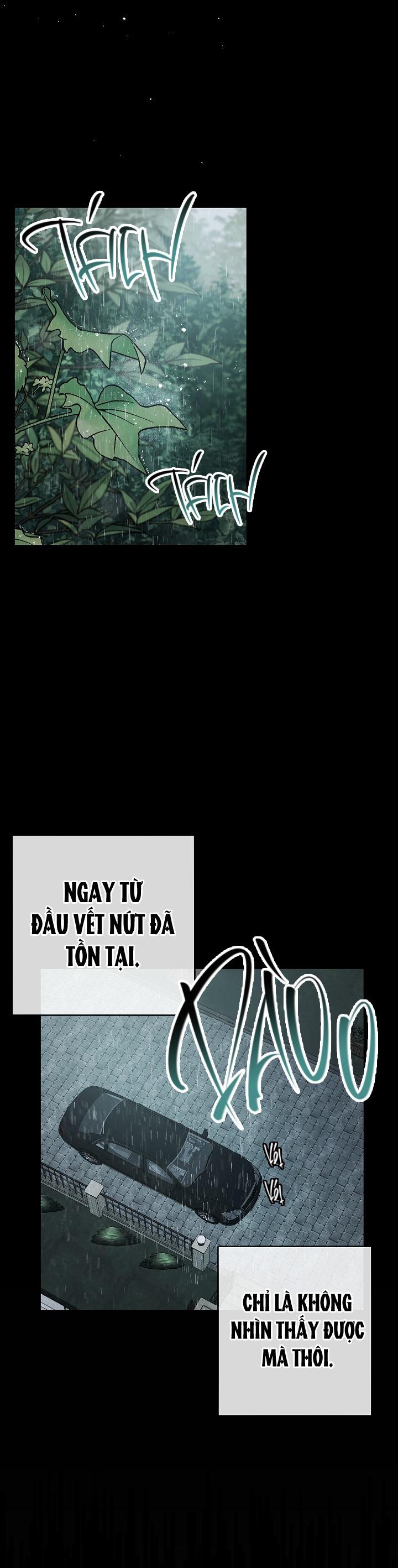 Đọc truyện BẢO VẬT - Chapter 26