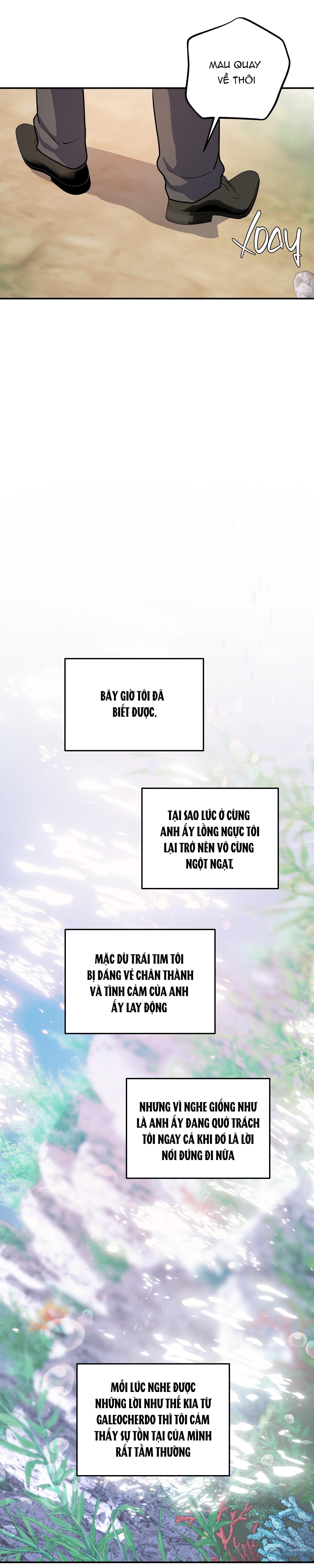 Đọc truyện CÁ MẬP VÀ CÔ DÂU THỎ - Chapter 34