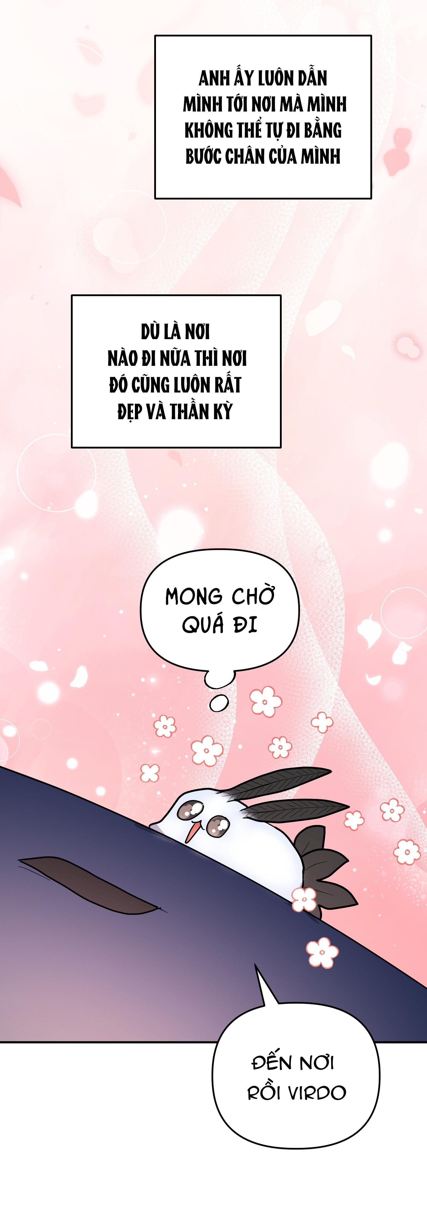 Đọc truyện CÁ MẬP VÀ CÔ DÂU THỎ - Chapter 53