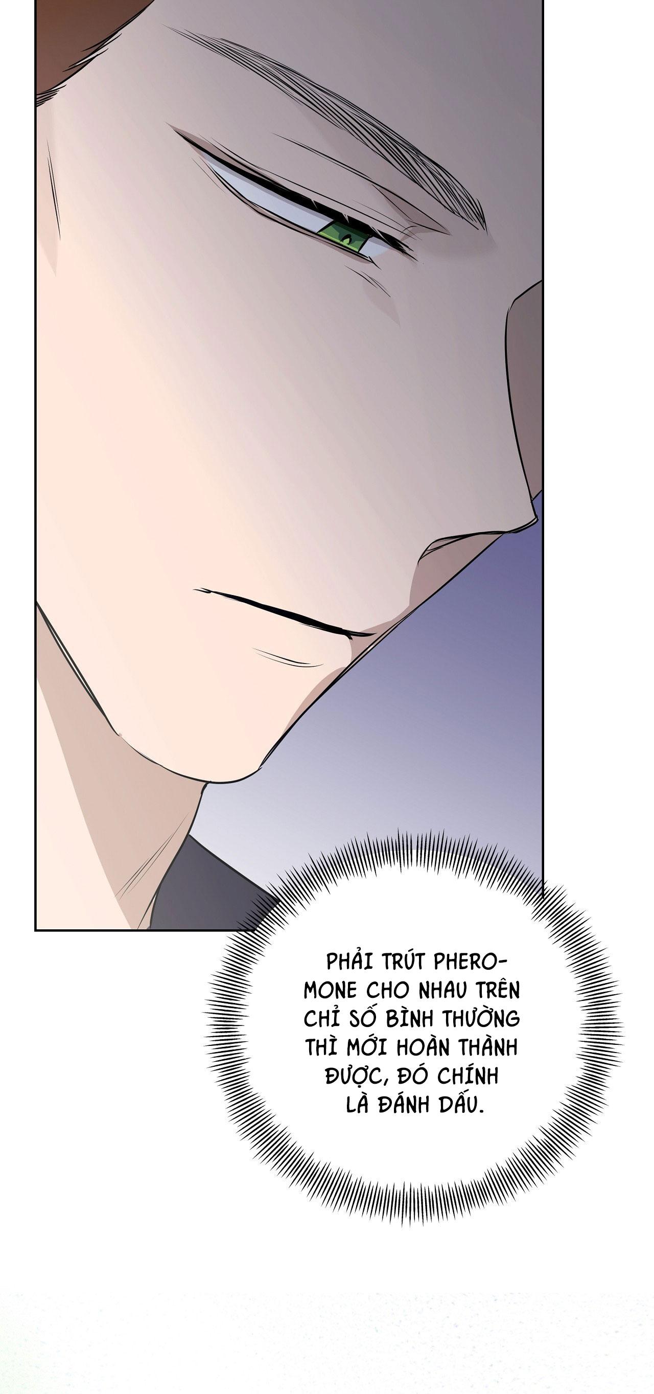 Đọc truyện OMEGA HOÀN HẢO CỦA TÔI - Chapter 16