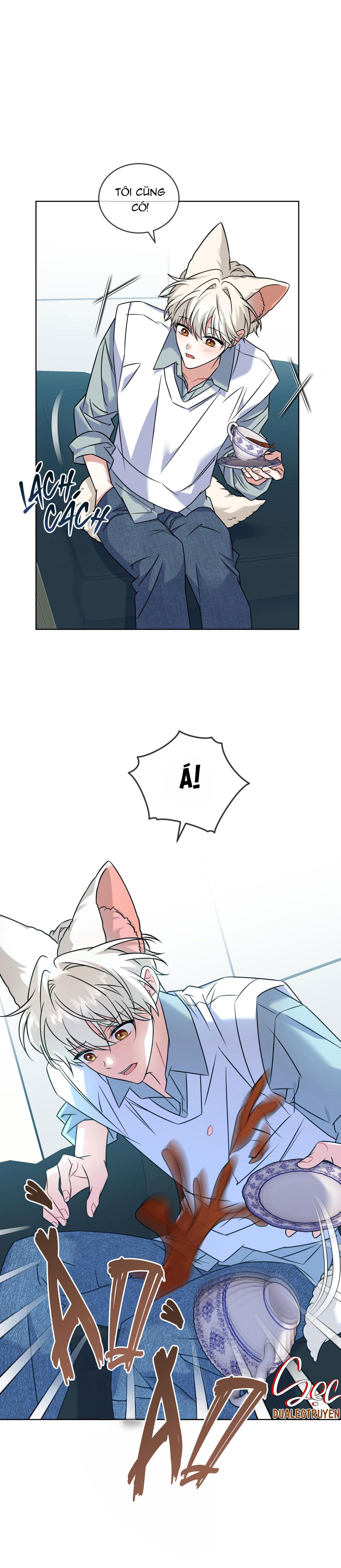 Đọc truyện NƯỚC UỐNG TÌNH YÊU CỦA CÁO PLIN - Chapter 18