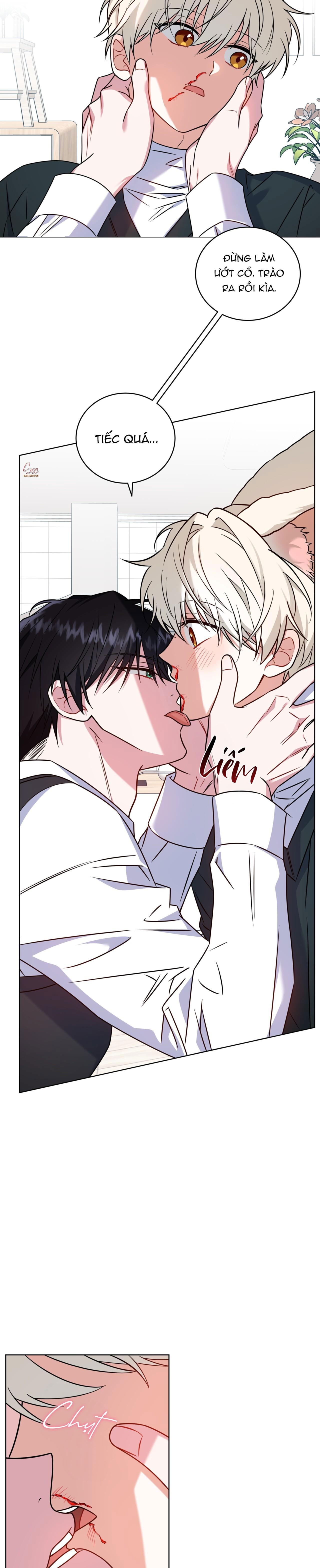 Đọc truyện NƯỚC UỐNG TÌNH YÊU CỦA CÁO PLIN - Chapter 22