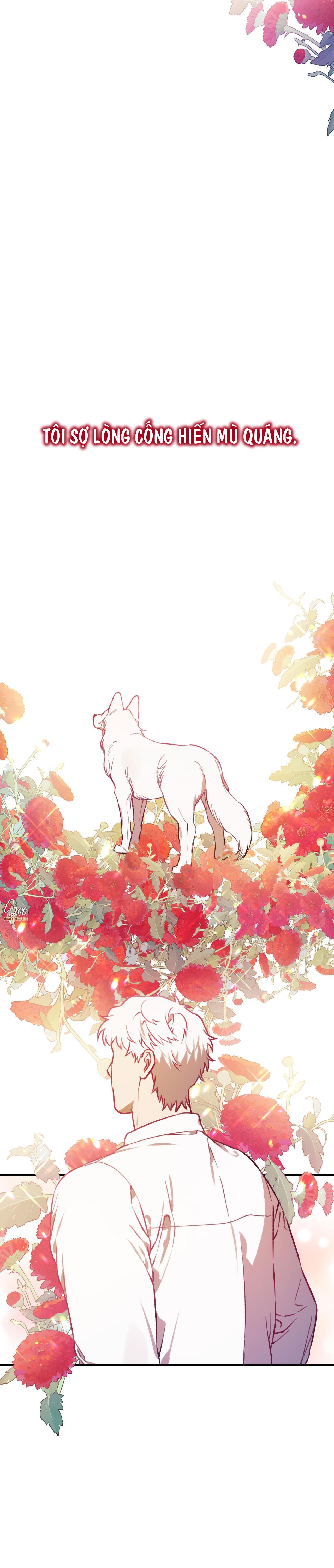Đọc truyện SÓI TRONG LỒNG - Chapter 32