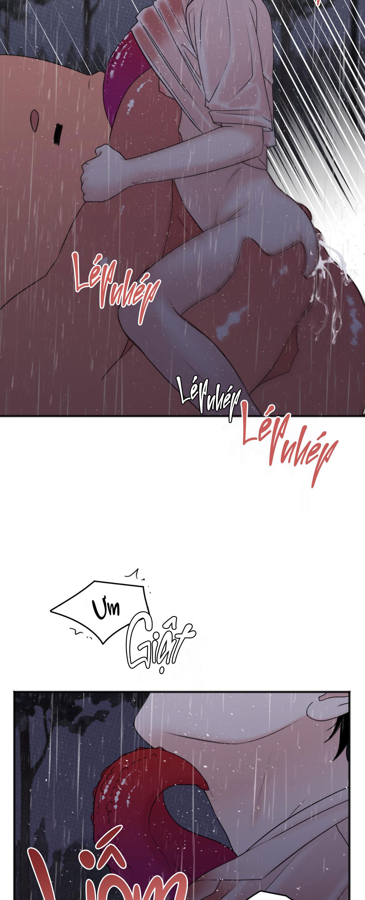 Đọc truyện DỰ BÁO MƯA RÀO - Chapter 6
