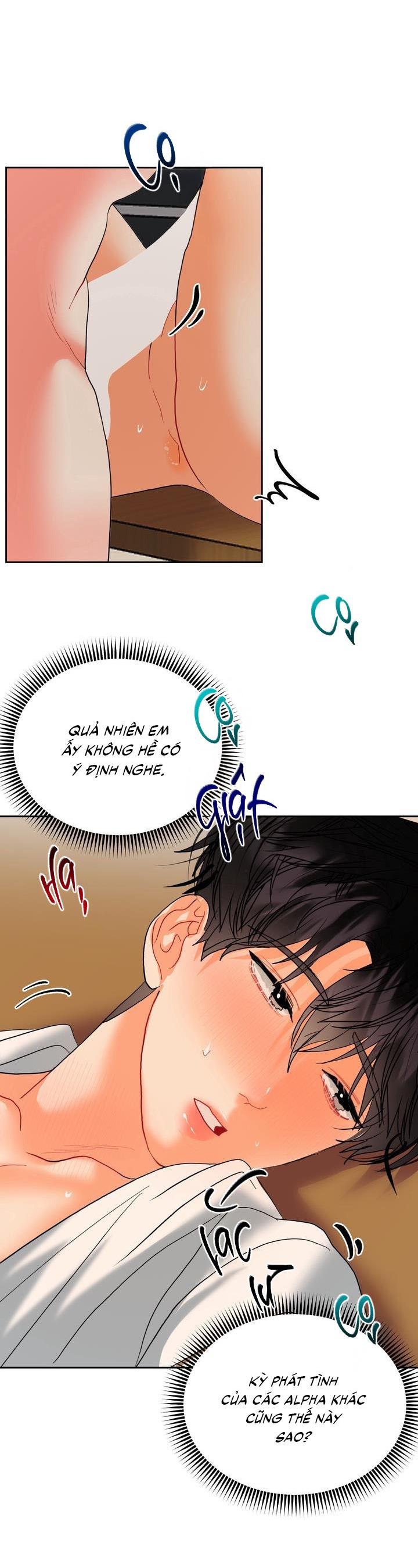 Đọc truyện  Omega Của Anh - Chapter 11