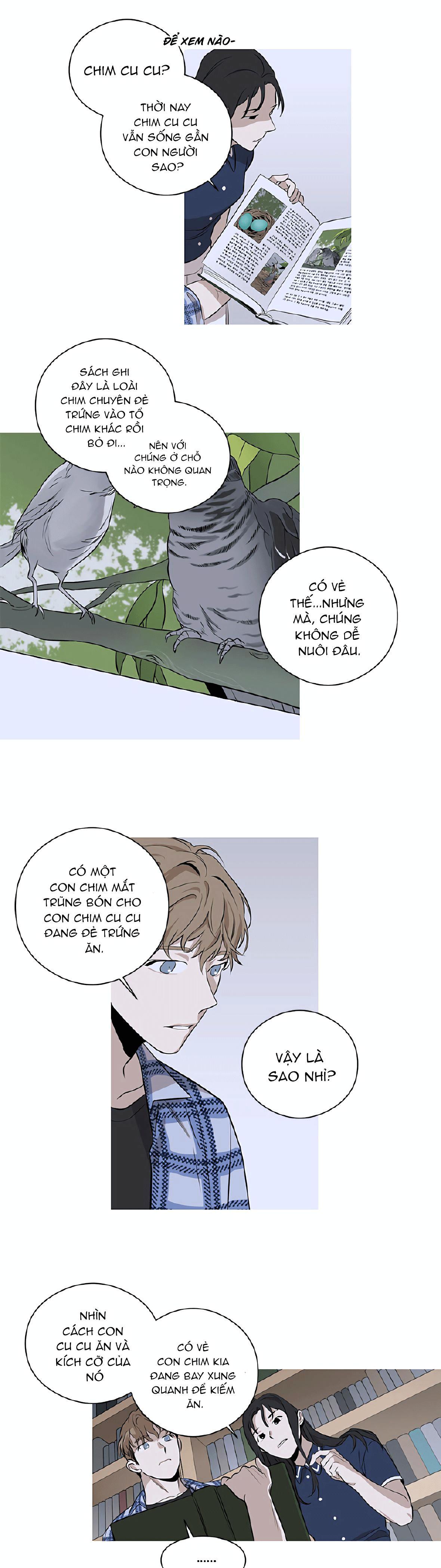 Đọc truyện Đường Chim Bay - Chapter 2