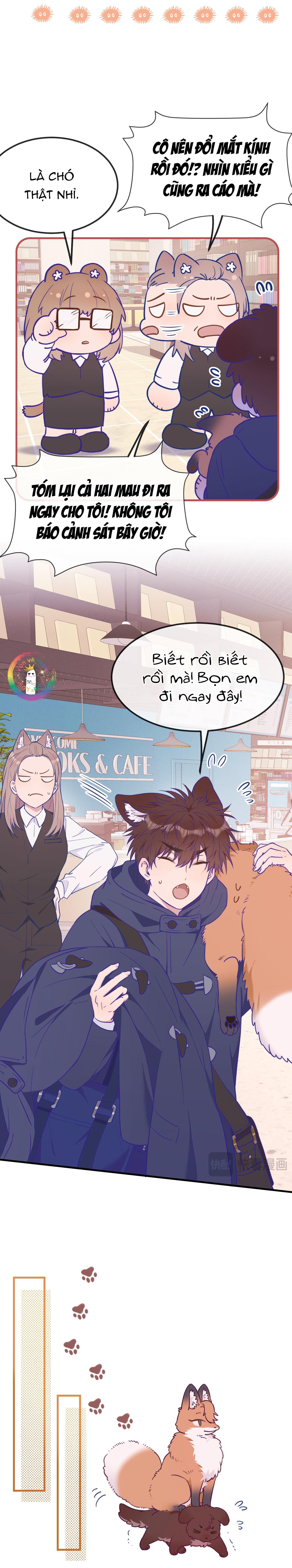 Đọc truyện Cún Con Nói Dối Sẽ Bị Ăn Thịt - Chapter 33