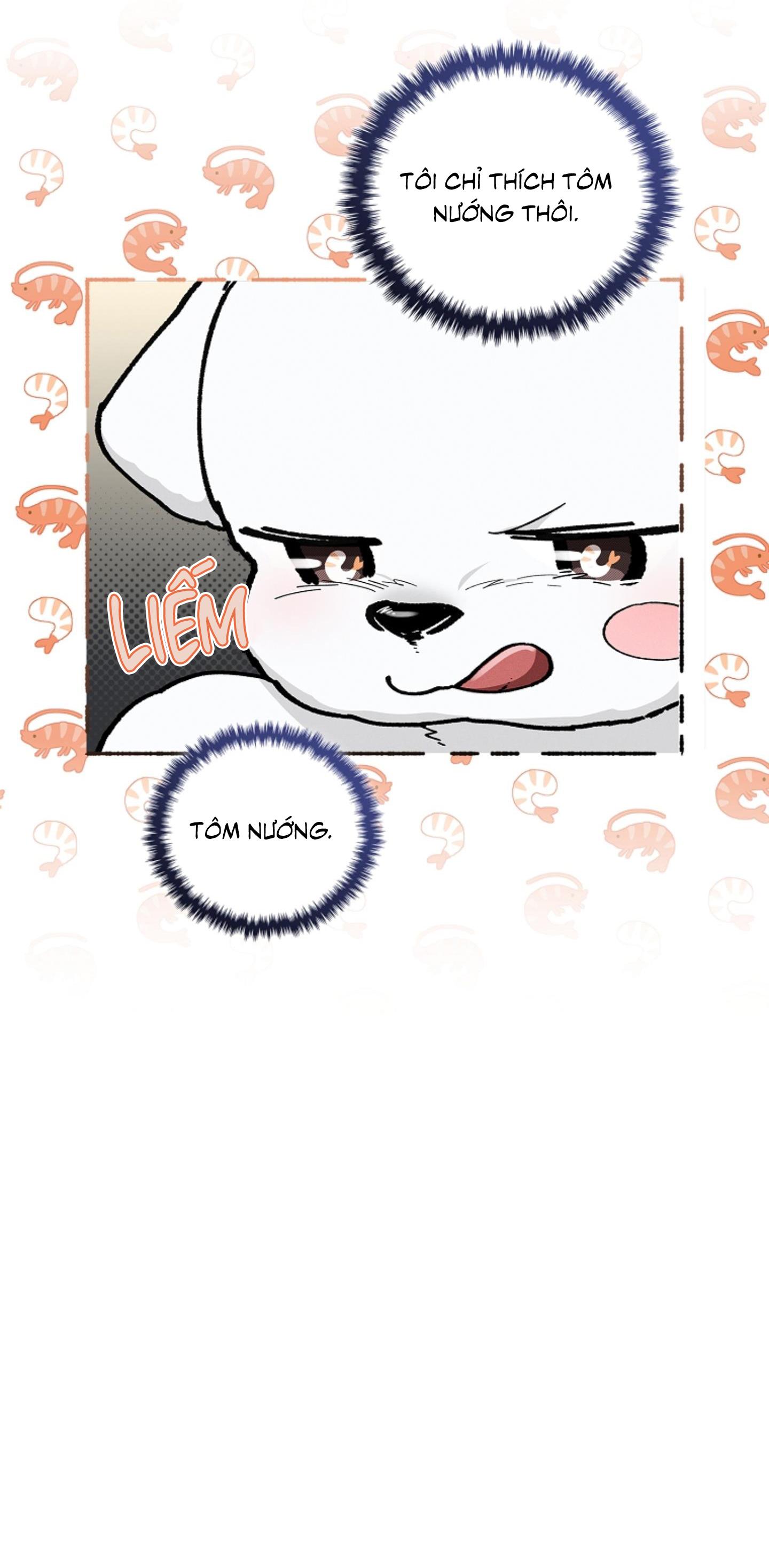 Đọc truyện ĐỪNG ĐỘNG VÀO CÚN CON! - Chapter 10