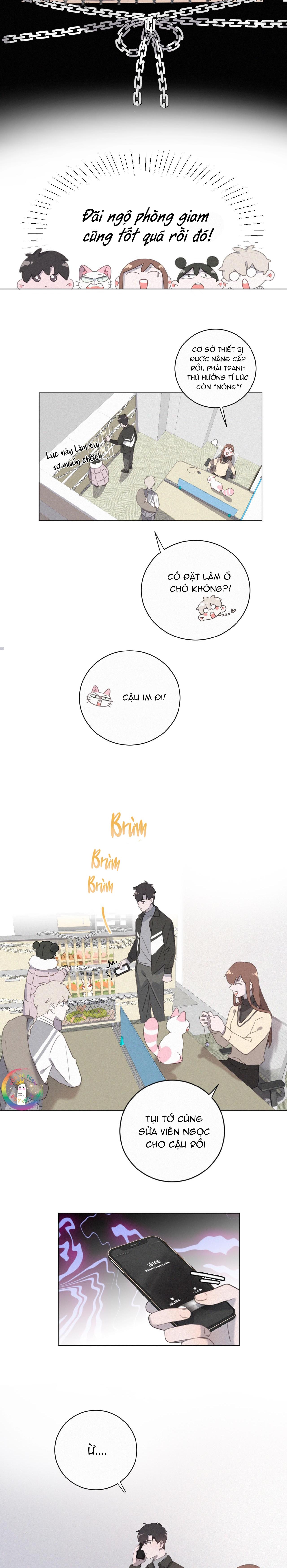 Đọc truyện Xã Hội Mồn Lèo - Chapter 56