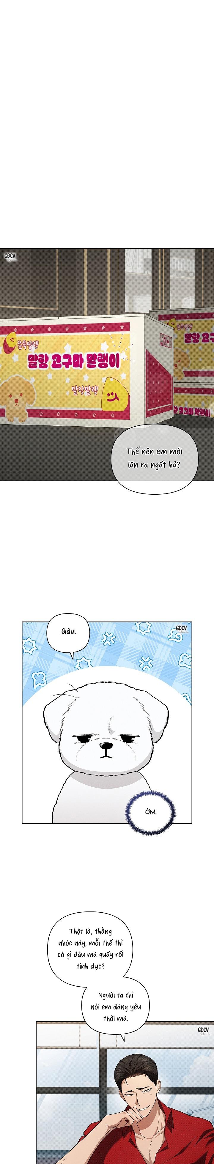 Đọc truyện ĐỪNG CHẠM VÀO CÚN CON CỦA TÔI - Chapter 2