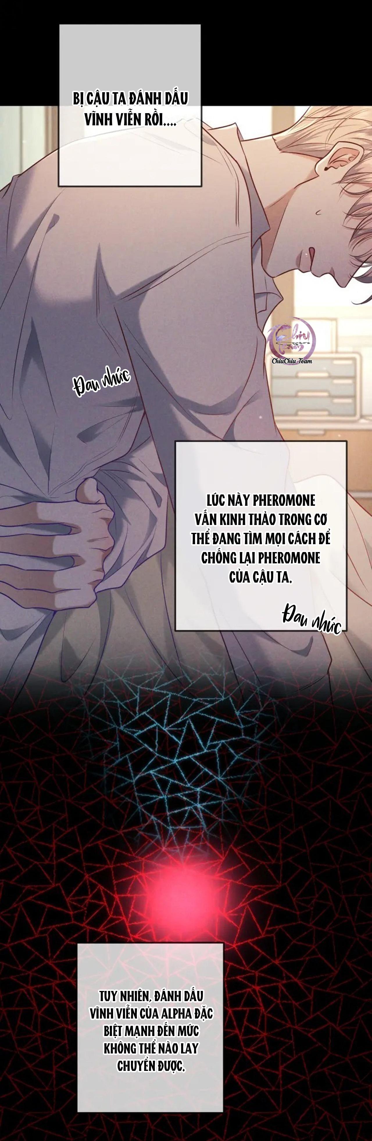 Đọc truyện Cạn Tình - Chapter 40