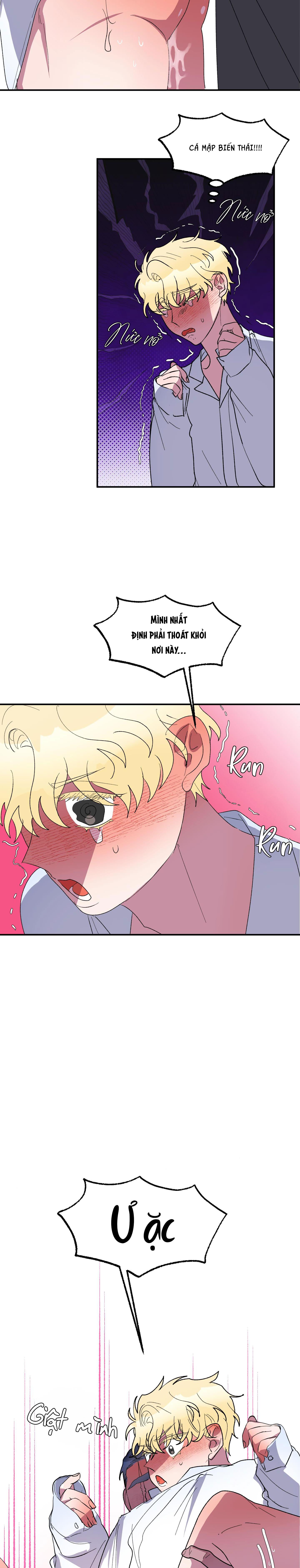 Đọc truyện CÁ MẬP VÀ CÔ DÂU THỎ - Chapter 22