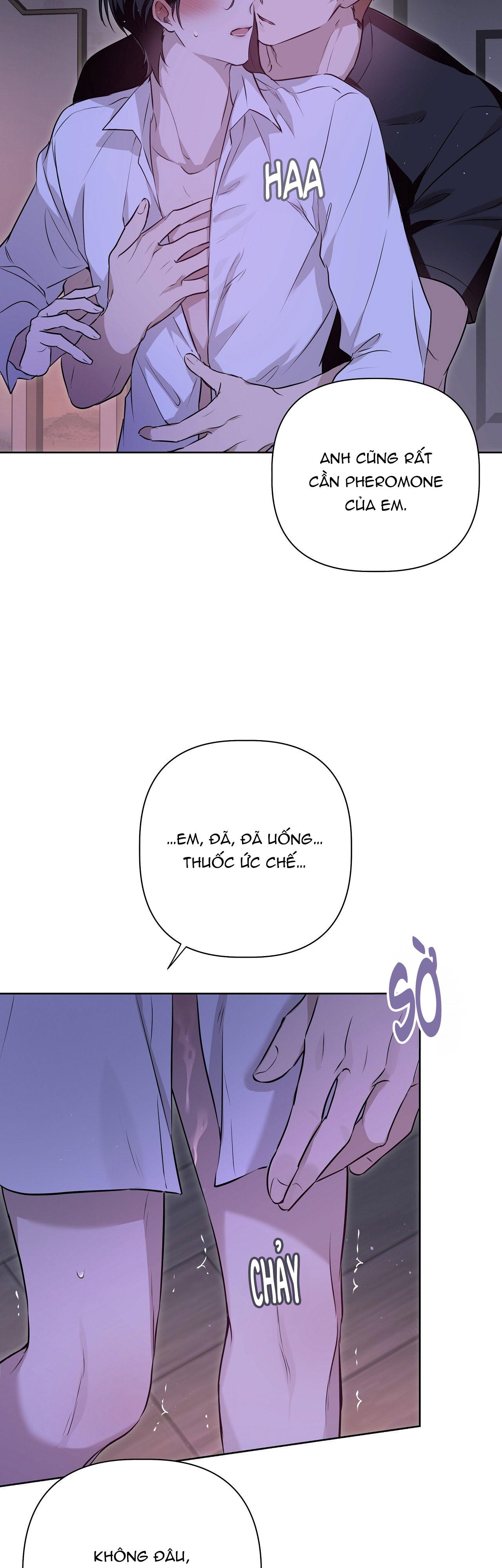 Đọc truyện OMEGA HOÀN HẢO CỦA TÔI - Chapter 6