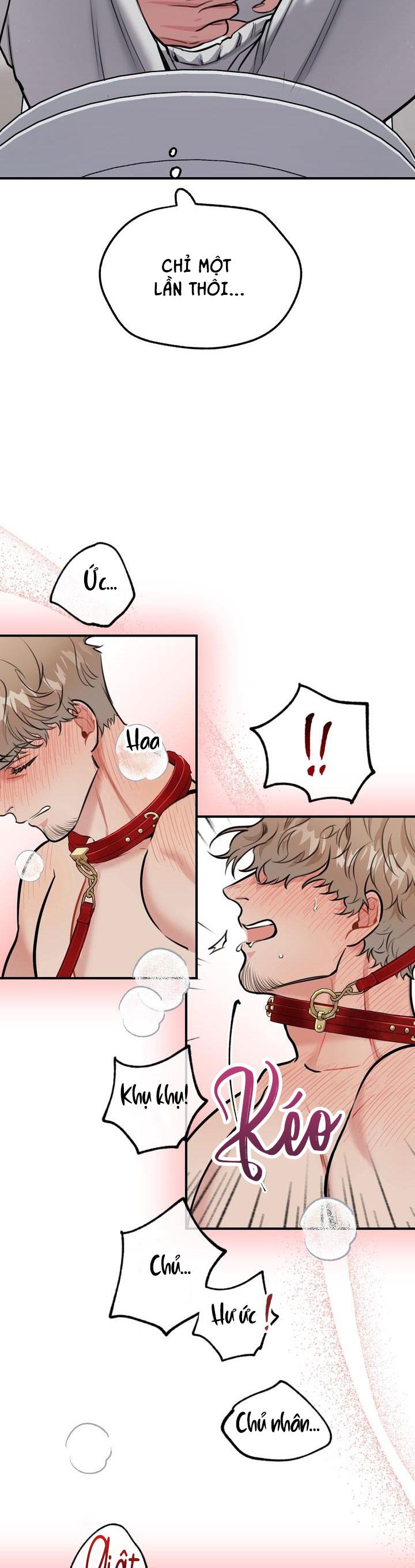 Đọc truyện HƯỚNG DẪN BDSM CƠ BẢN - Chapter 4
