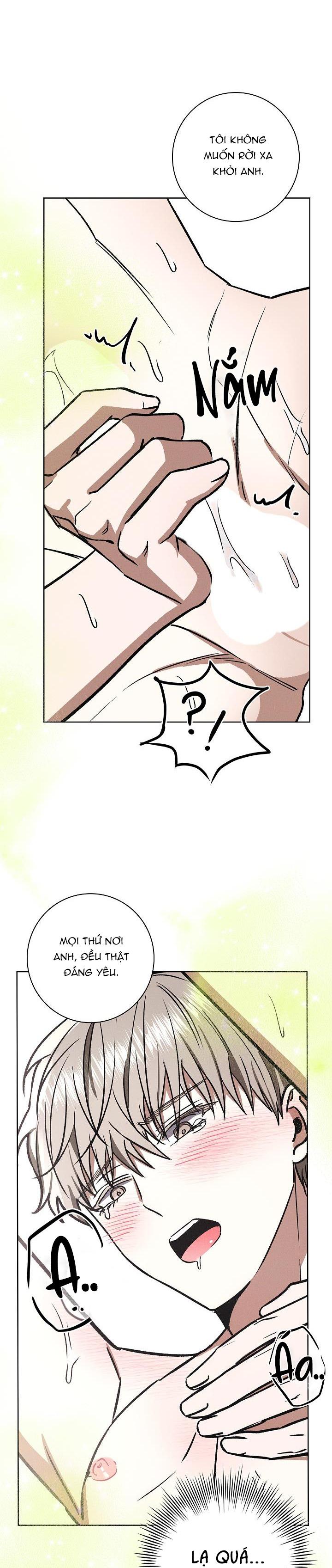 Đọc truyện (ABO) BE BE - Chapter 38