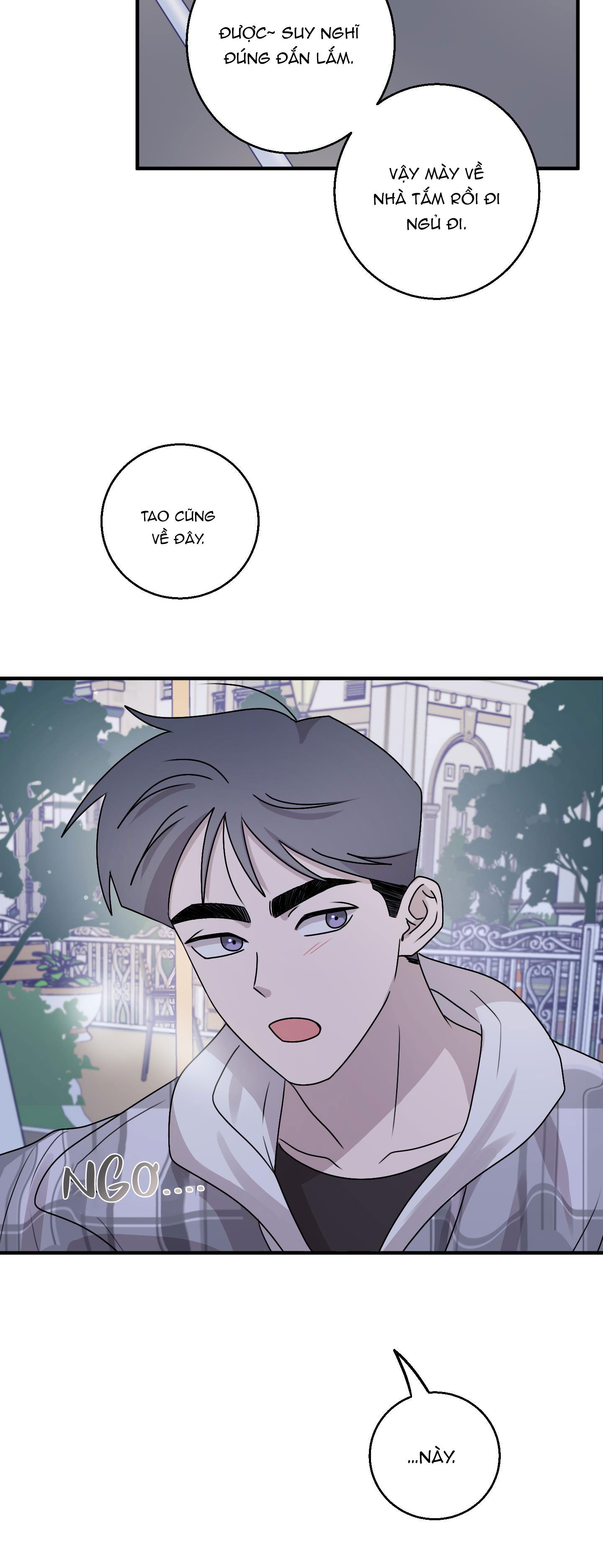 Đọc truyện CHUYỆN TÌNH ALPHA - Chapter 4