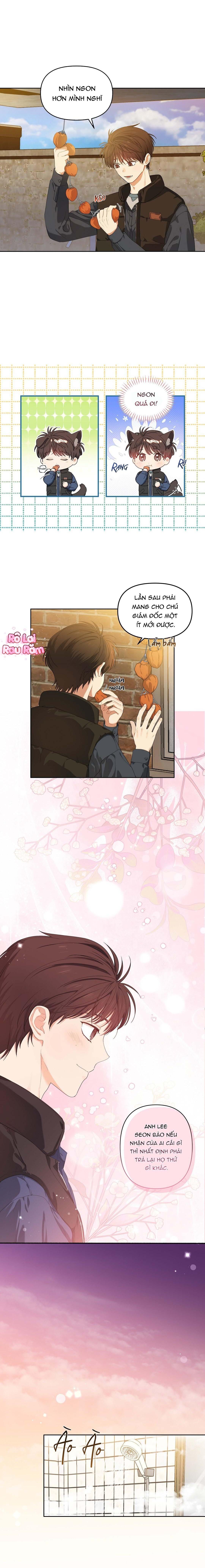 Đọc truyện Hoa Anh Đ ào    - Chapter 6